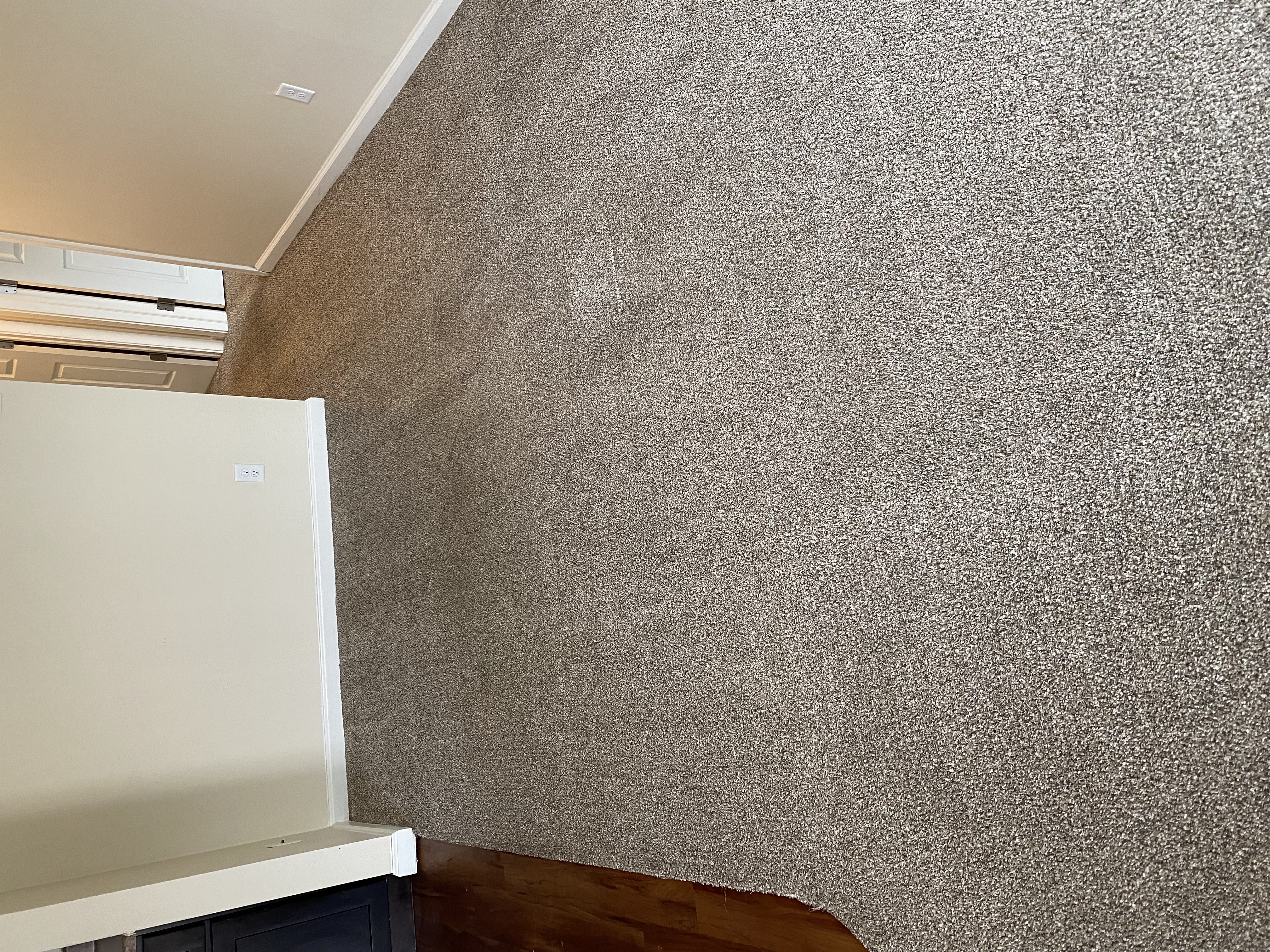 After carpet cleaning by TLC in Danville IL - clean carpet